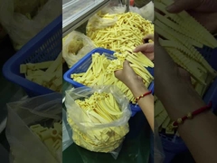 Niestandardowe pierścienie O z gumy silikonowej do ekstremalnych temperatur (-30,0 °C ~ 230,0 °C)